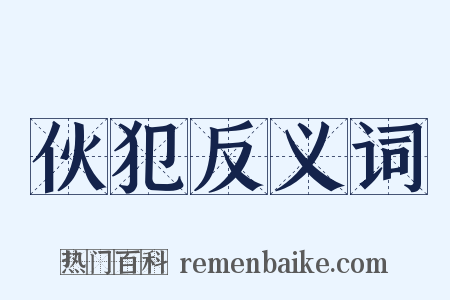 伙犯反义词是什么意思的图片